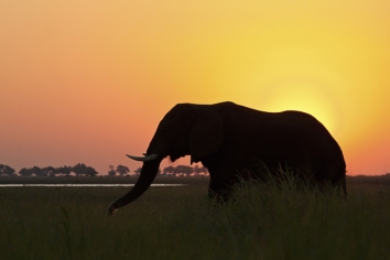 Main-Botswana