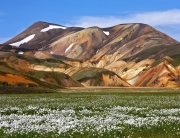 Iceland - Landmannalaugar