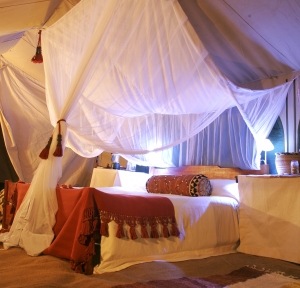 East Africa; Mobile Camping