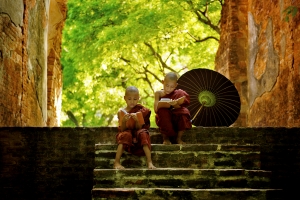 Buddhist monk reading outdoors