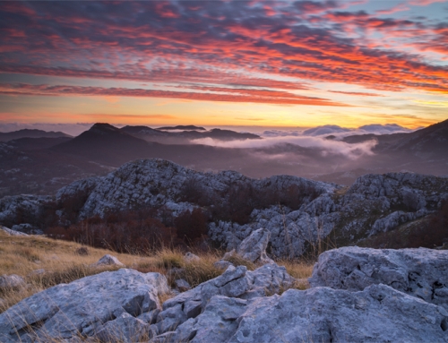 The Pearl of the Mediterranean November 2015